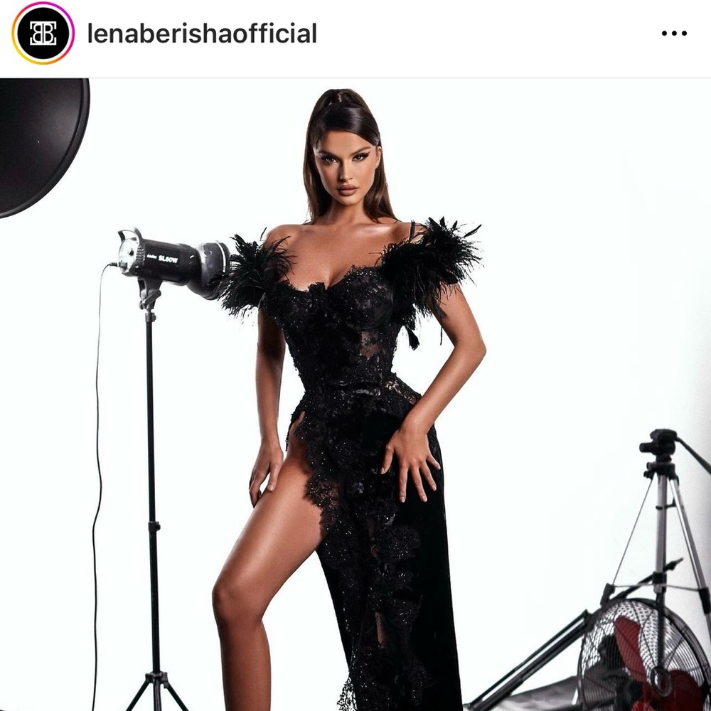 Lena Berisha Custom Gown